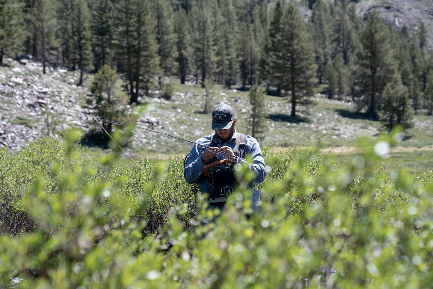 Between Casts, Eastern Sierras, 2025